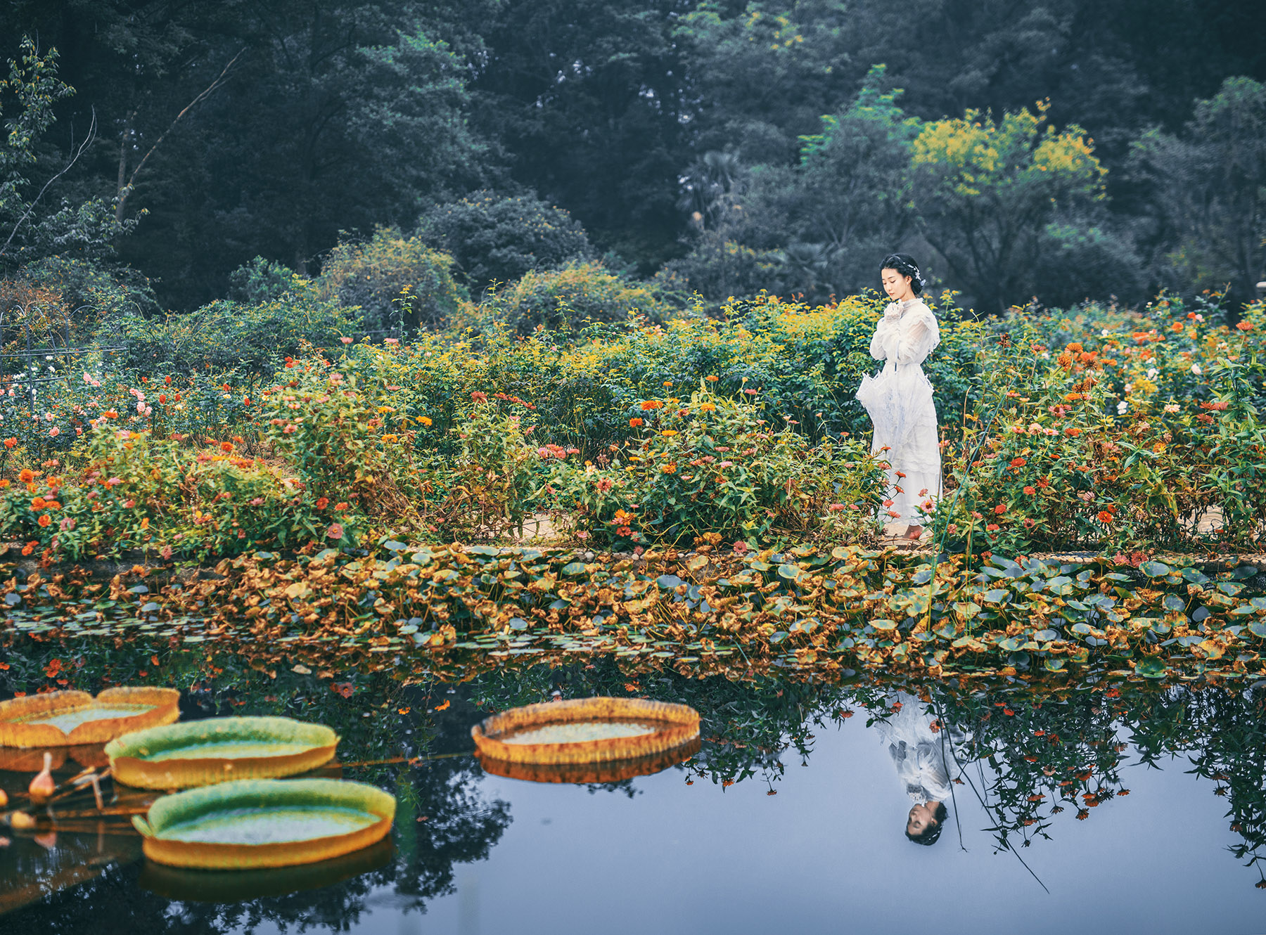 第14篇，尼康相机的标头-2021年元旦快乐