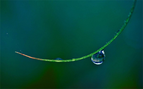 遇见这一场秋霜（外三篇）