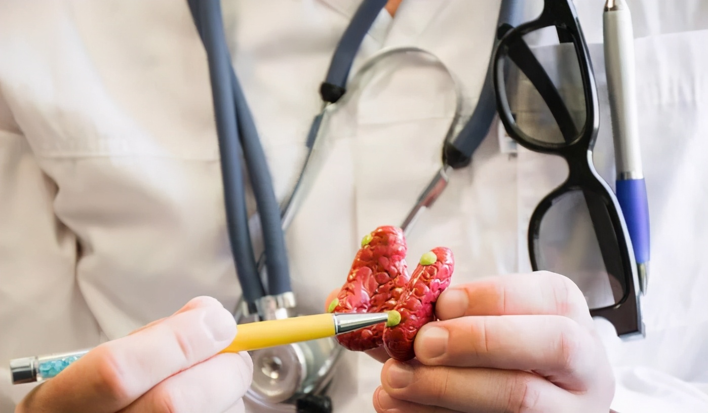 啥是腺体,什么是腺体功效