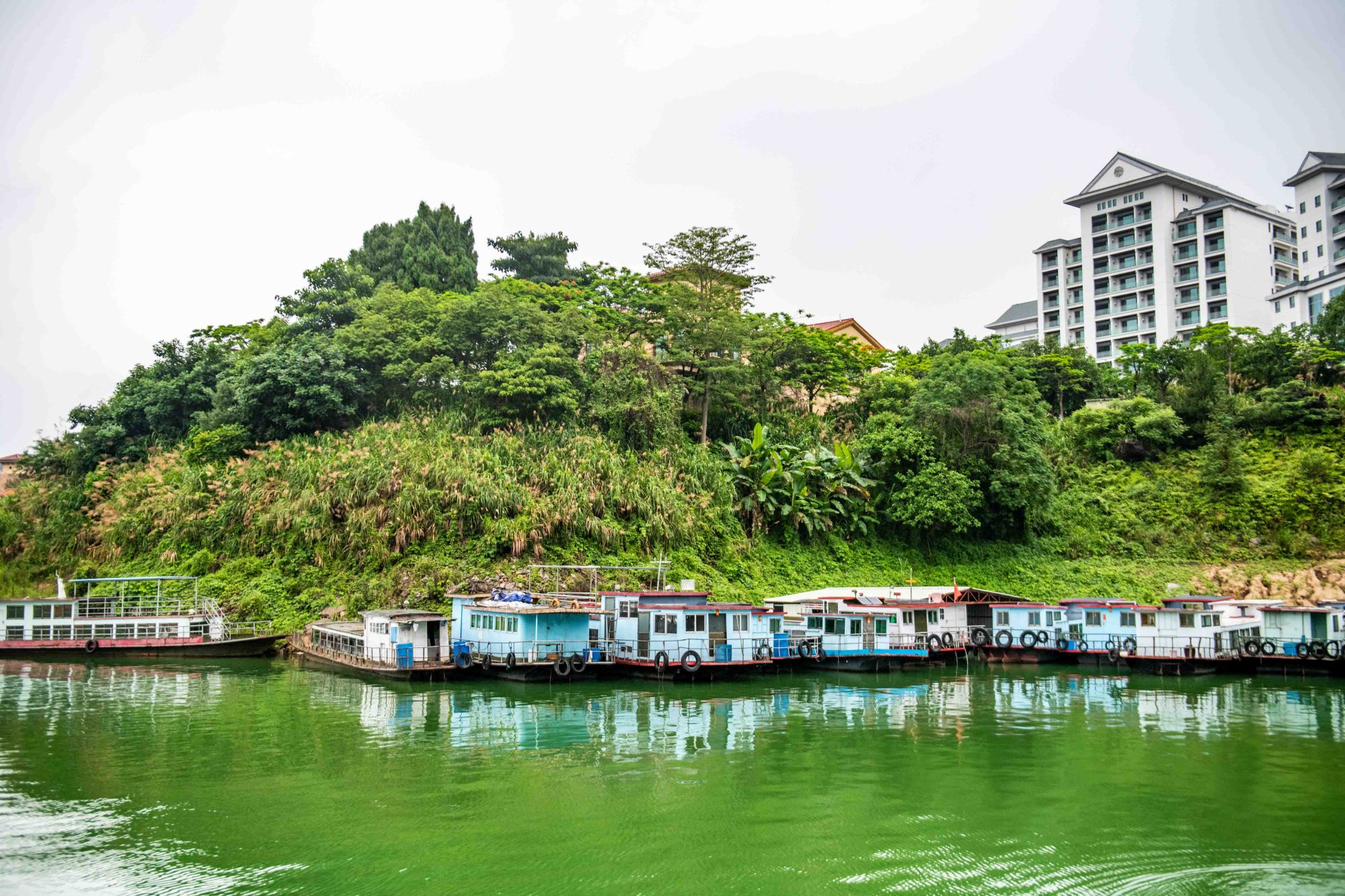 万绿湖美景拍摄,航拍万绿湖风景视频