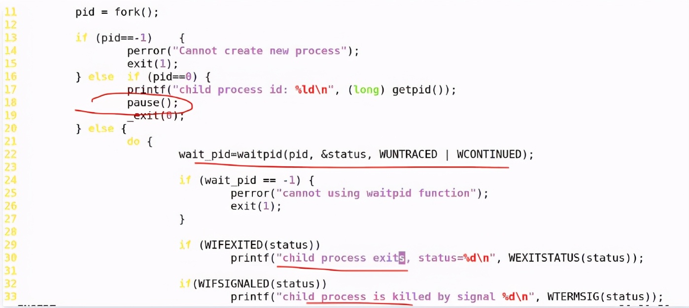 linux杀主进程能杀死子进程吗,linux进程杀不死