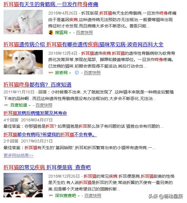 田园猫和品种猫哪个颜值更高,中华田园猫跟哪种品种猫配好看