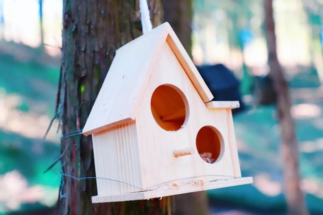 昆明亲子游户外旅行地,昆明周边户外游玩景点推荐带孩子