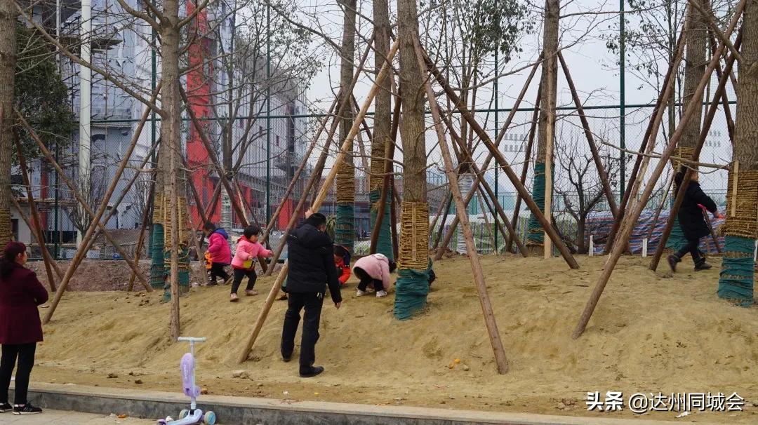 高家坝足球运动公园羽毛球,高家坝足球公园