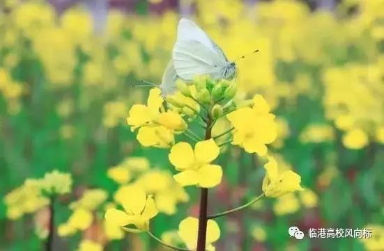 临港适合看书的地方,上海临港有没有读书的地方