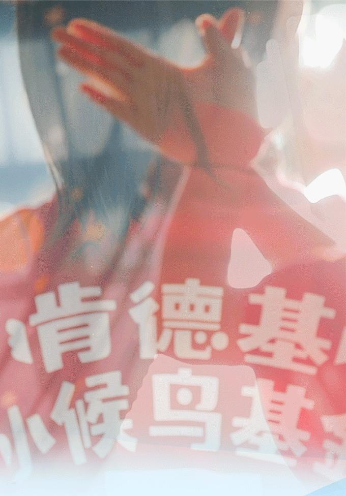 这群来自全国各地的「小候鸟」,温暖了整个上海