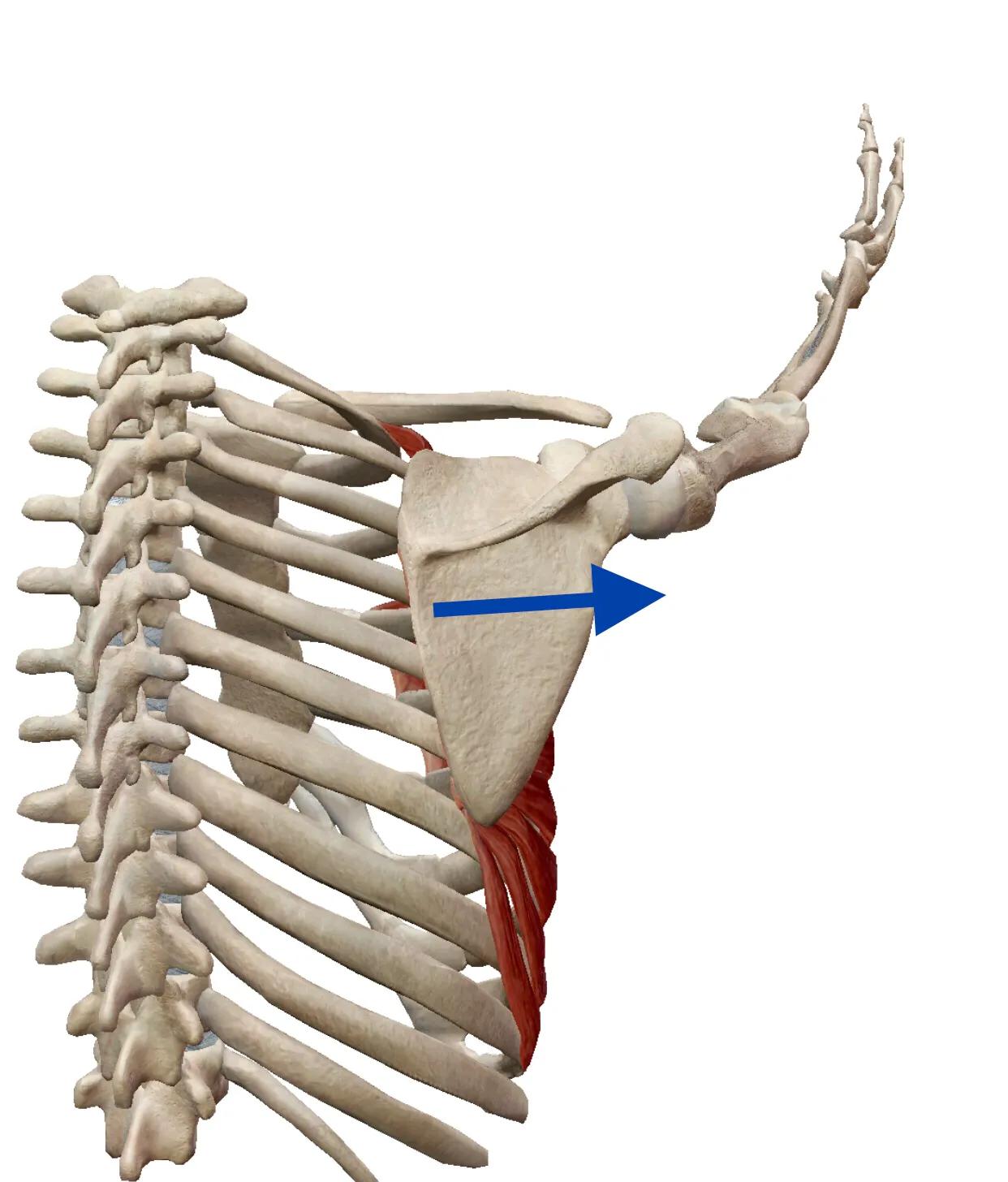 颈椎受凉后特别僵硬头重,颈椎僵硬响引起有点后脑胀痛