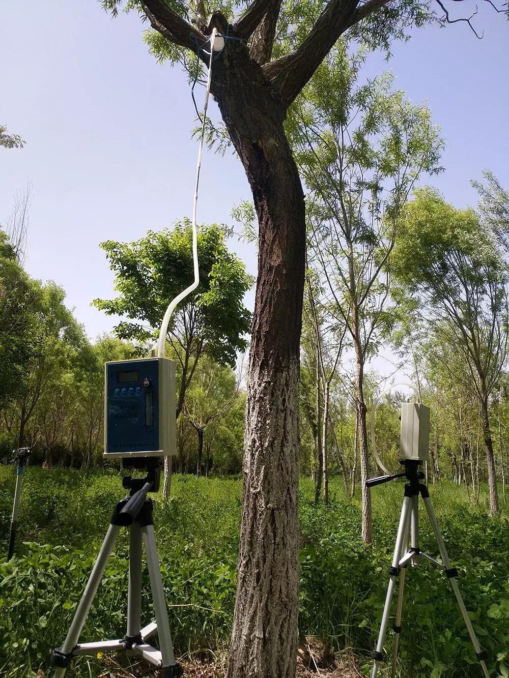红颈天牛生活习性及防治方法,天牛的习性和天敌