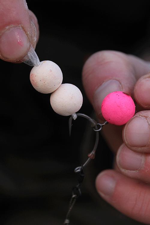 话说欧鲤钓组全集,欧鲤钓法pva