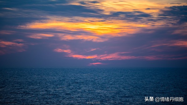 邮轮游选择哪个游轮好,邮轮旅游全攻略公主号