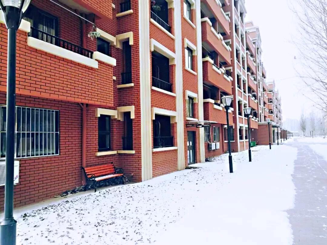 辽宁中医药大学杏林学院独立学院,辽宁中医药大学三个校区