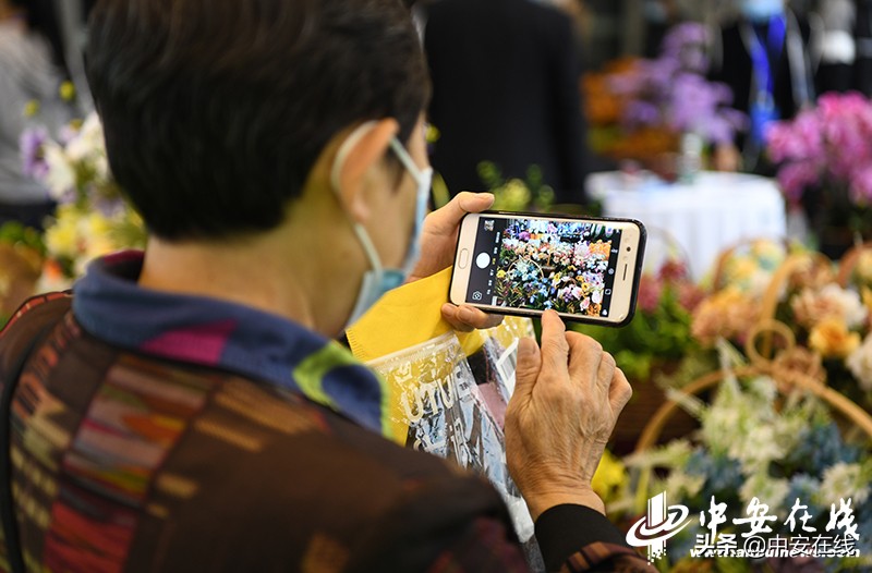 2020年中国合肥苗木交易会,2012中国合肥苗交会