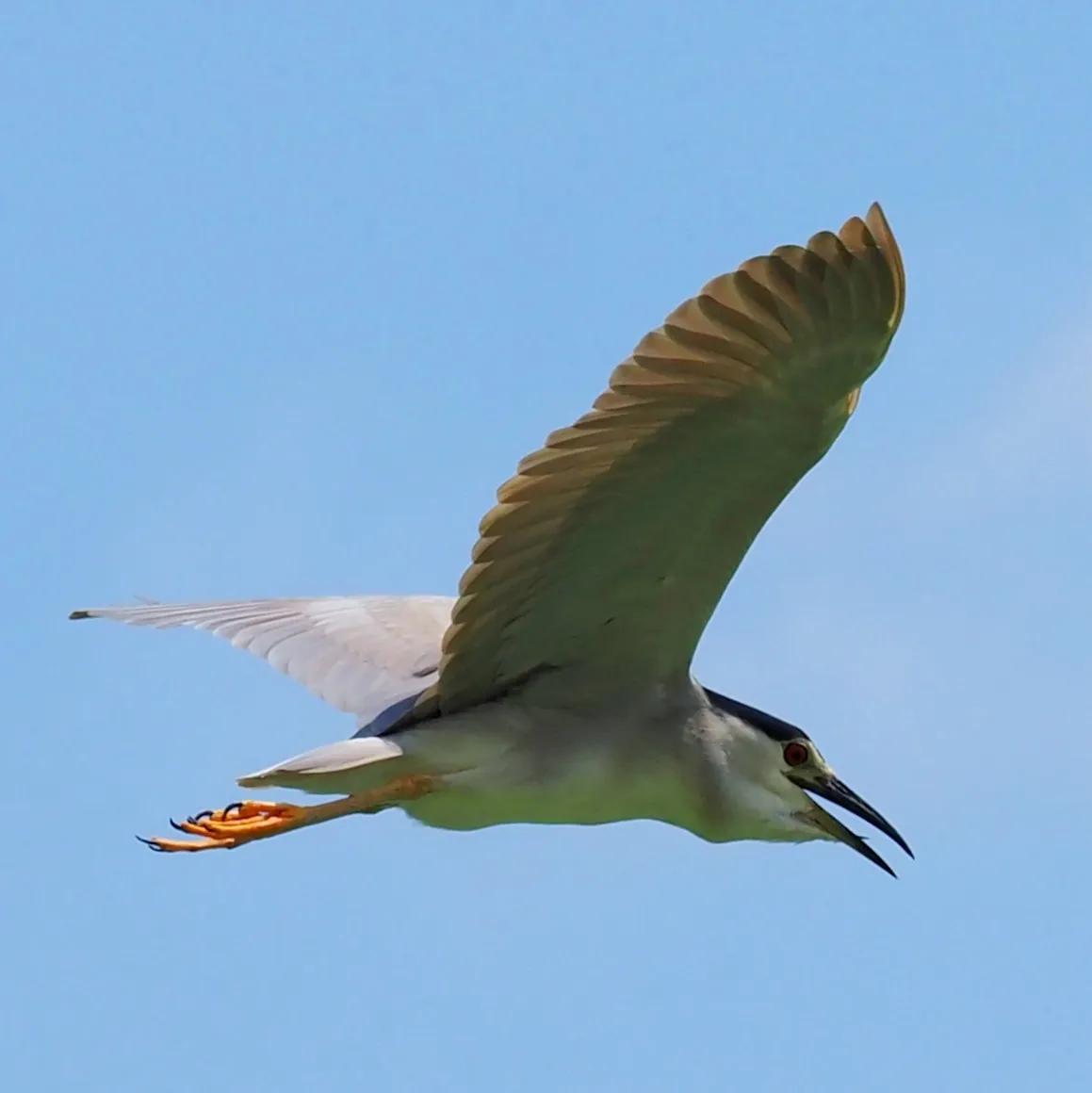 拍儿童照被坑,那些年带娃踩过的坑