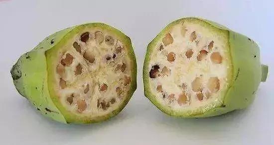 你唯一能“自由”的水果，可能要灭绝了