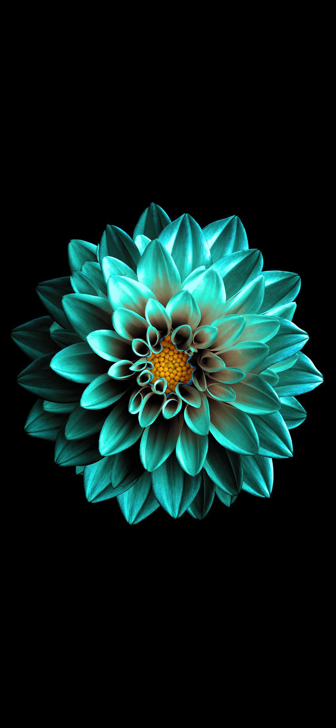 经典黑白系列手机壁纸！非常适合做手机壁纸！感觉收藏一下吧！