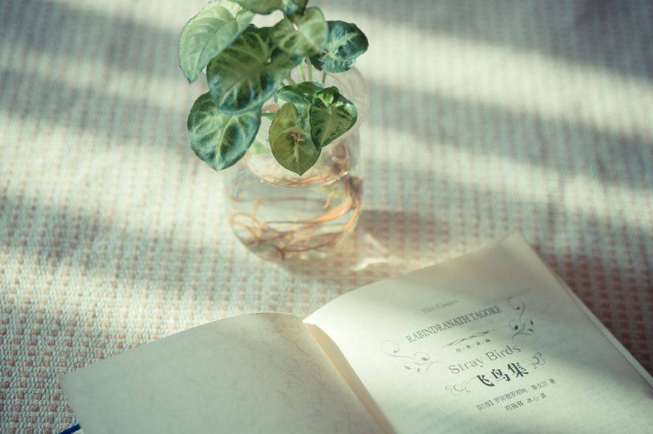 出发藏于山水间的度假胜地推荐,藏于山林间的度假胜地推荐