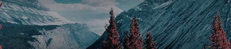 月度空瓶|6月见底的七七八八