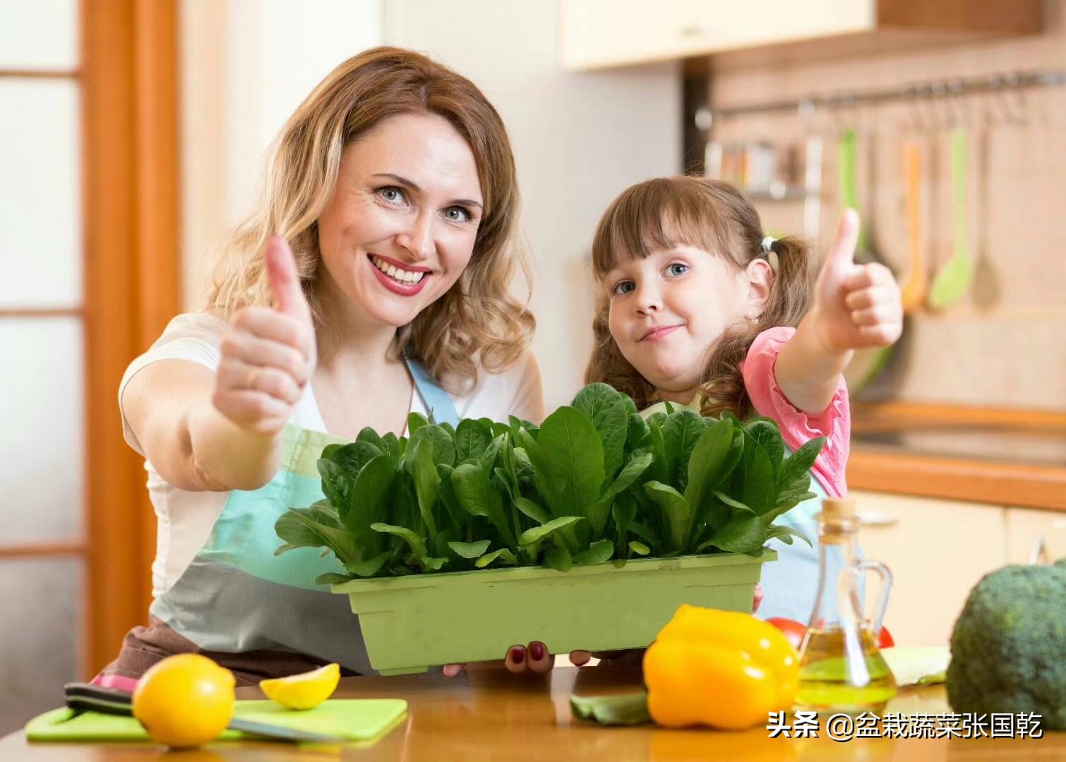 盆栽蔬菜行业现状,蔬菜种植行业分析报告总结