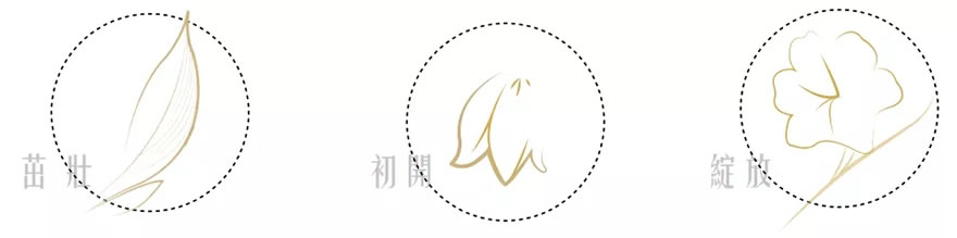 常德顺沅南金城二期风水,常德顺沅南金城二期景观设计图