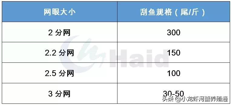 牛！这桂花鱼的饵料鱼新品种，产量远超鲮鱼仔