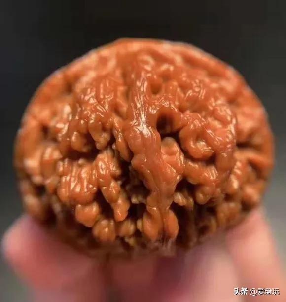 它是核桃圈的“虐手扛把子”，敢上手盘的，都是铁汉子