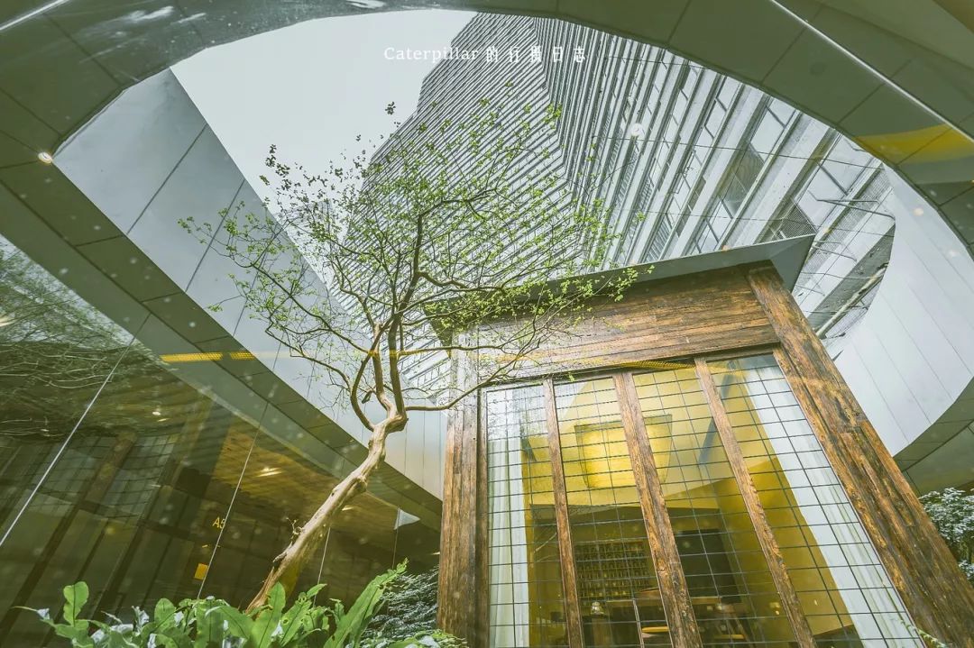 广州小众自驾,广州10个必去打卡的地方