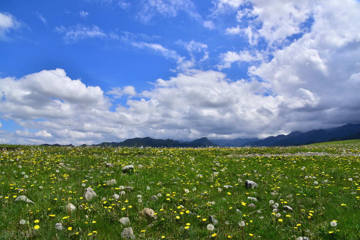 新疆旅行美丽的沙湾,新疆塔城沙湾旅游攻略