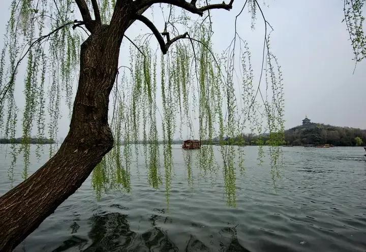 喜欢苏东坡的人经典语录,喜欢苏东坡的理由