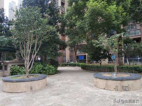 合肥滨湖学区房最新价格,合肥滨湖cbd学区房