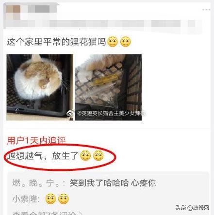 活体宠物塞入“盲盒”，拆开后是狗狗尸体！卖家：玩不起别买