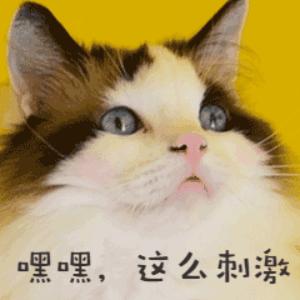 设计师助理不会怎么办,设计师助理和助理设计师的区别