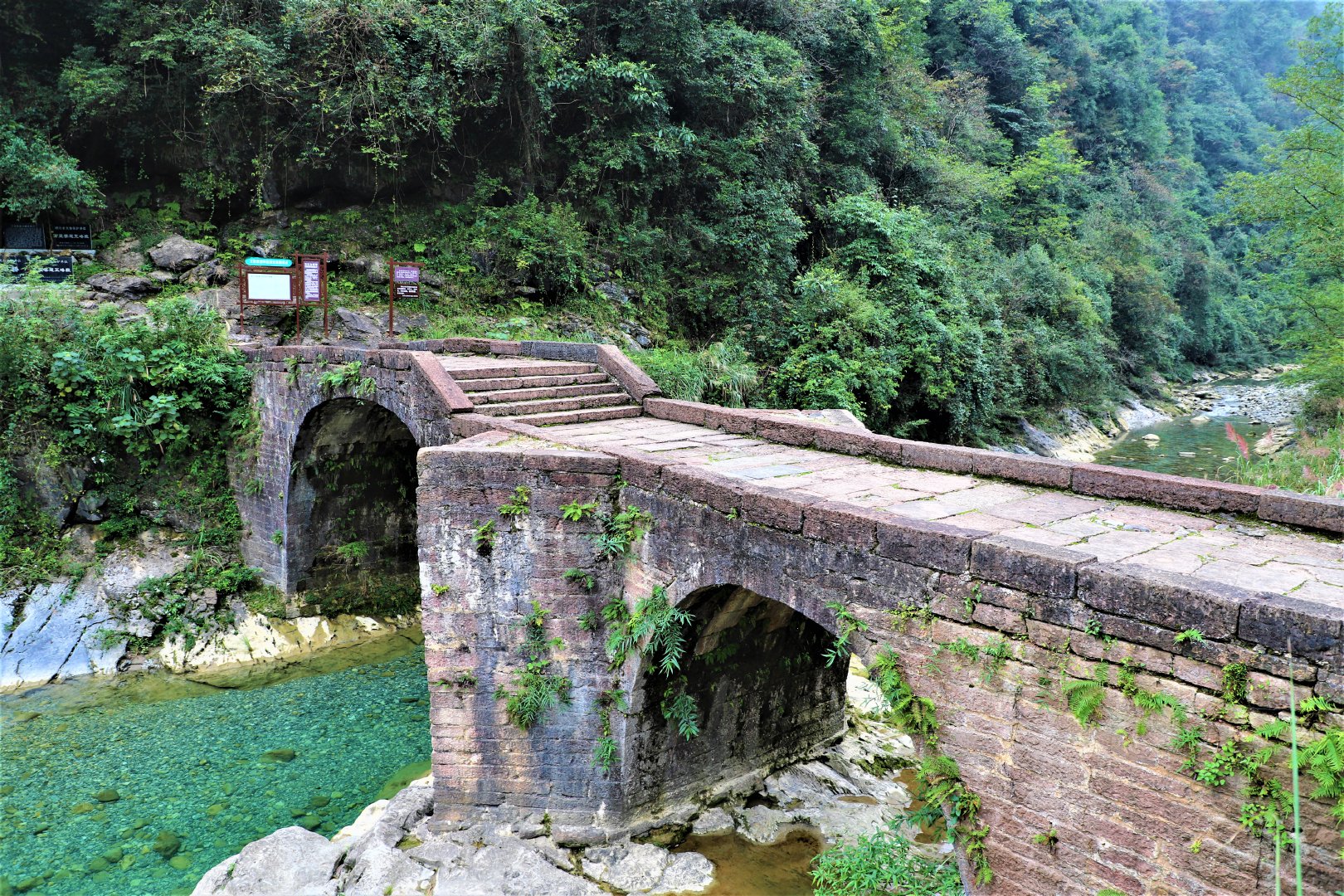 湖北网络大V宜昌五峰土家族自治县万里茶道体验之旅