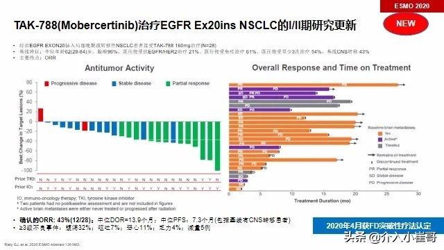 肺癌基因一类二类三类突变解读,肺癌基因突变才能靶向治疗