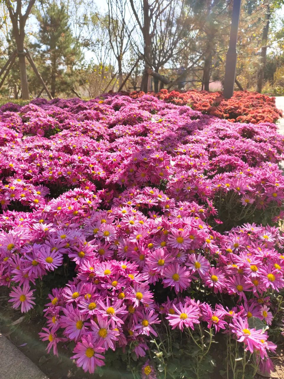 天坛附近公园有哪些,天坛公园周边有什么可逛的