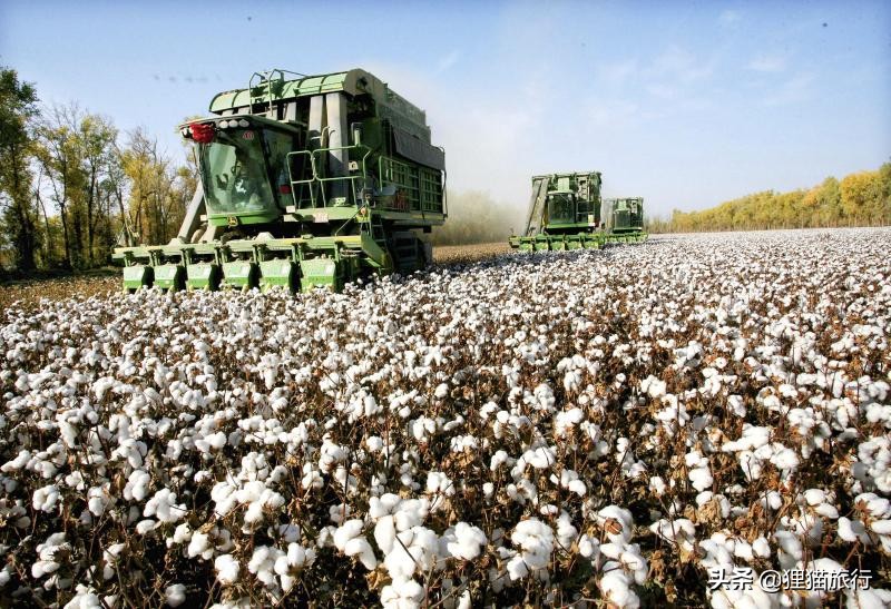 新疆沙湾市发展,新疆沙湾新变化