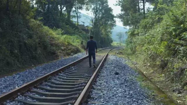 乡村创业追梦之路,风雨兼程阔步前行的发展历程