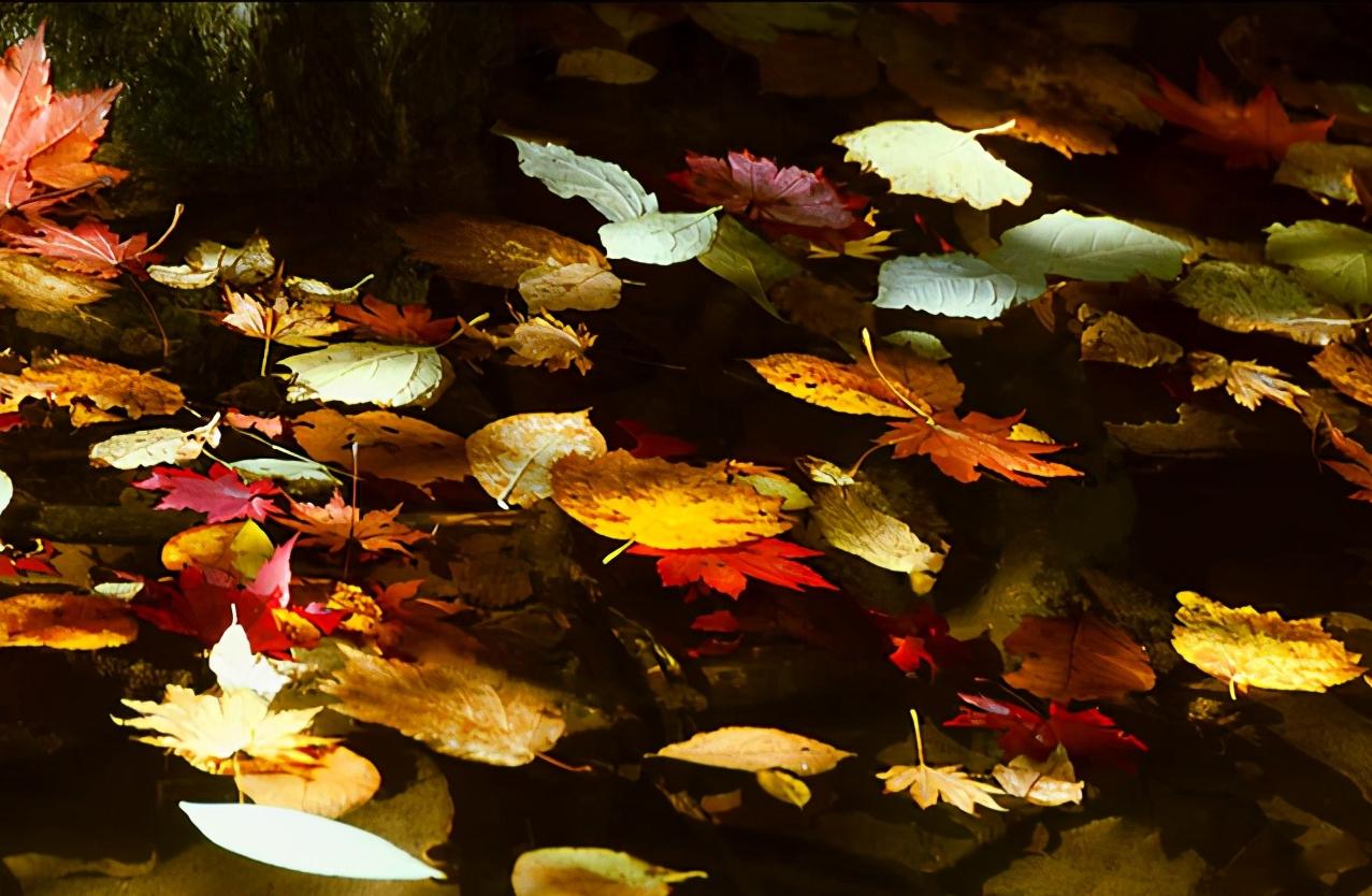 浅谈全国各省份,辽宁省本溪市地域分析