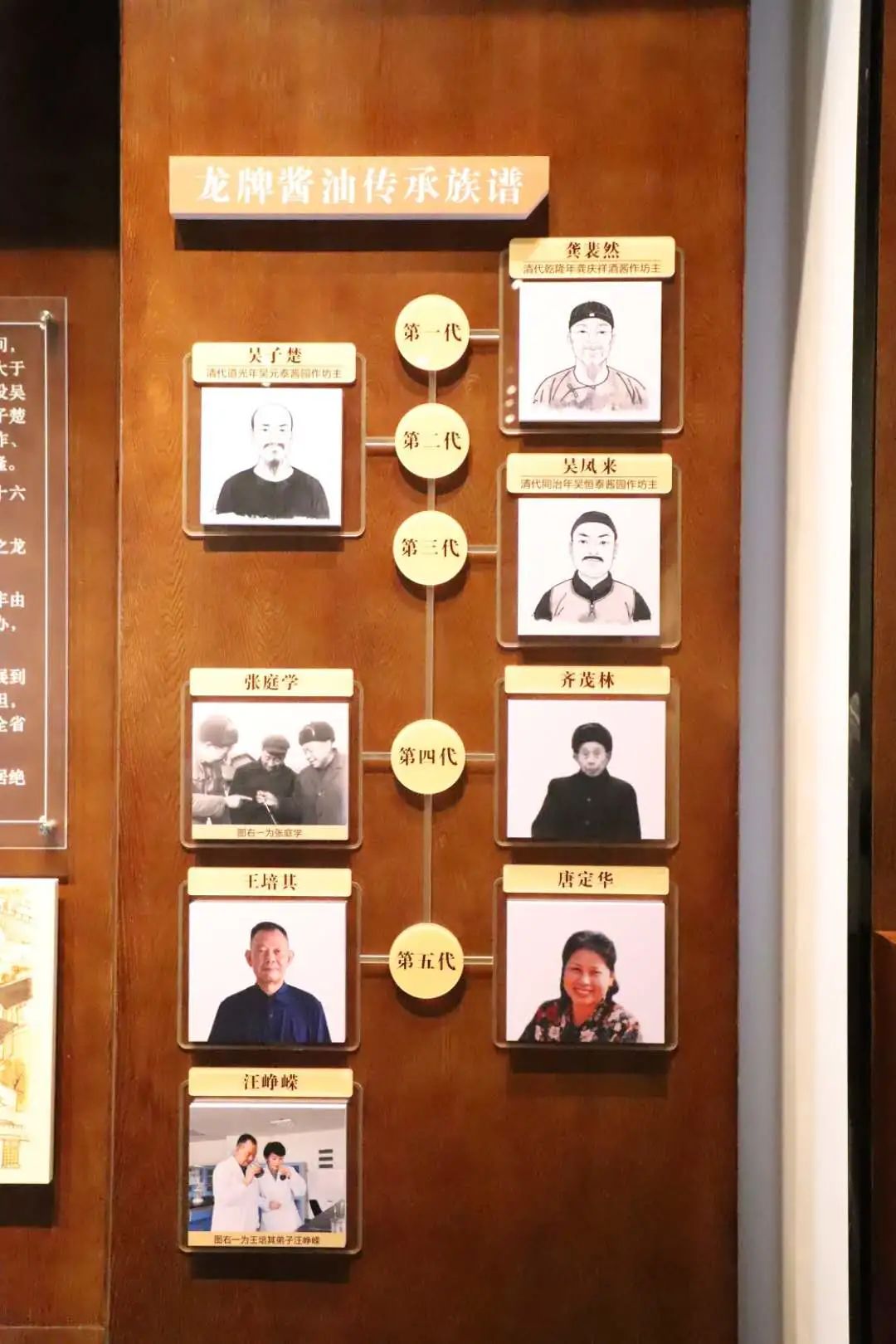 酱油瑰宝，龙牌探秘