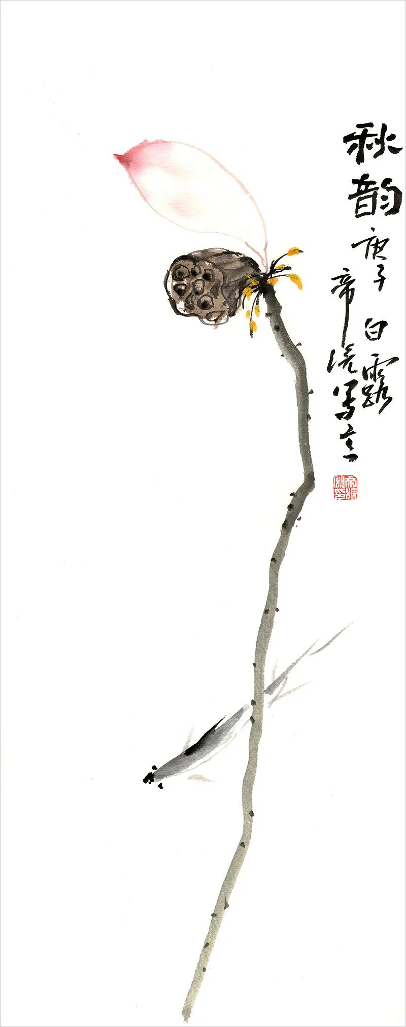 小林｜常恐秋风早，飘零君不知