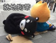 补过的牙几年后胀,刚补了牙该注意什么