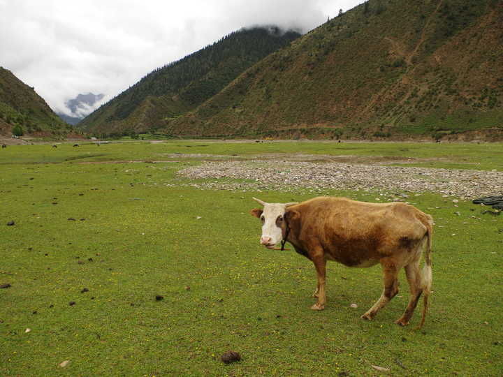 王小花的全部作品,王小花攻略