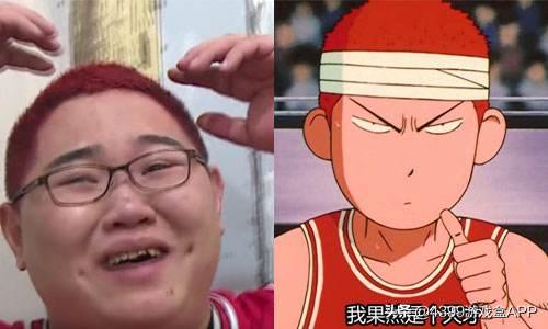 骚猪pdd直播视频,骚猪pdd直播回放