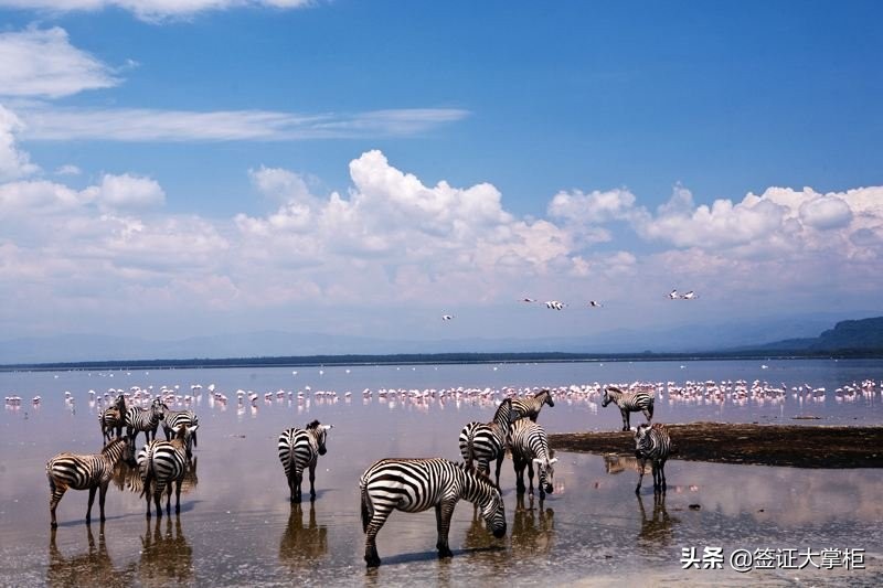 最新各国签证样本图片,签证一般要几寸照片才能办理