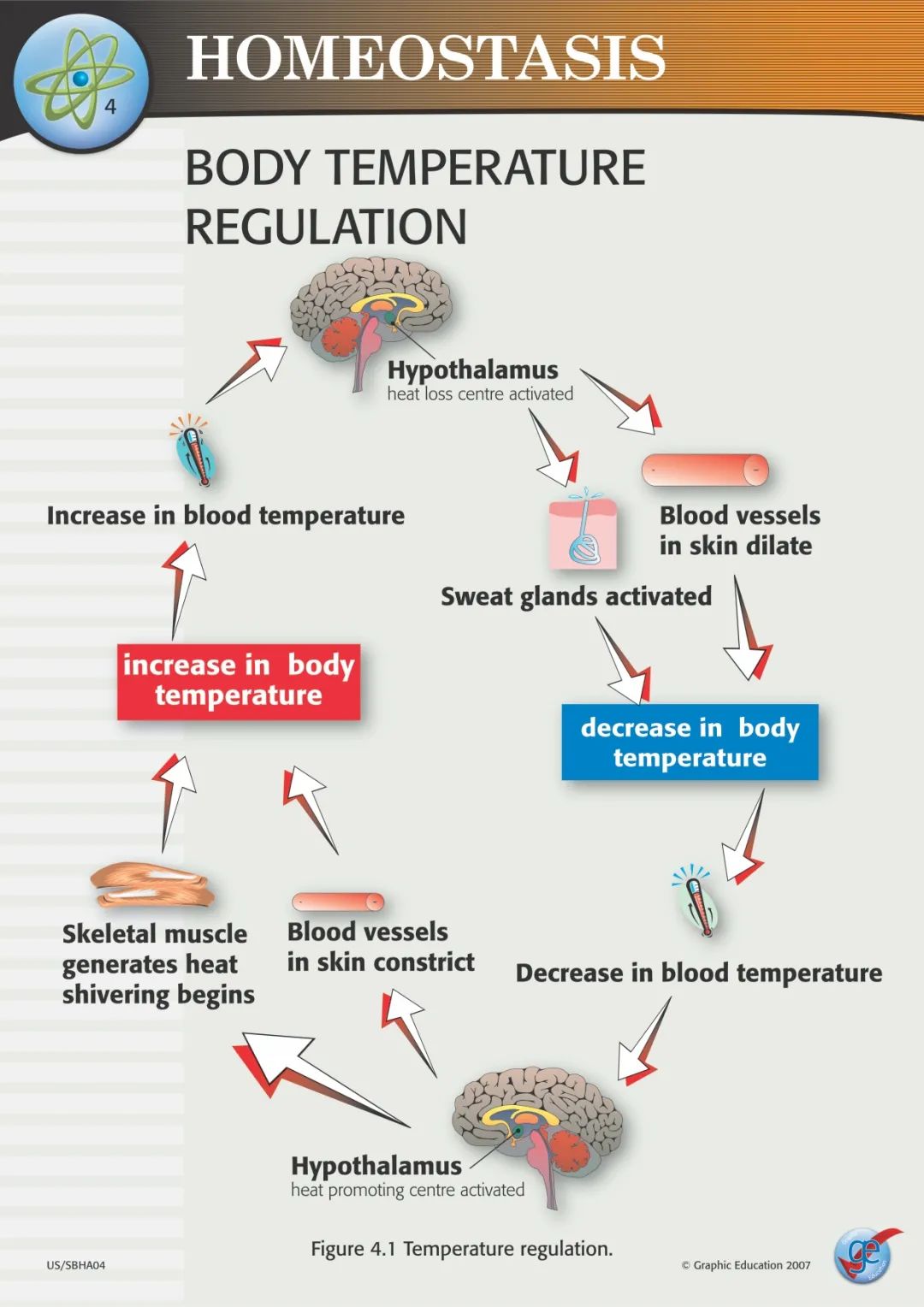 喝酒后冻死是怎么回事,喝酒第二天发冷发热是怎么回事