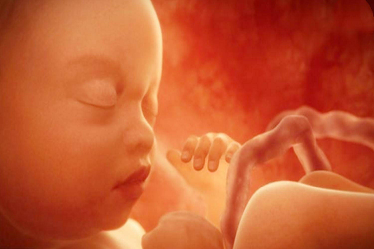 怀孕的女人容易哭是矫情吗,怀孕后为什么爱哭老公不安慰