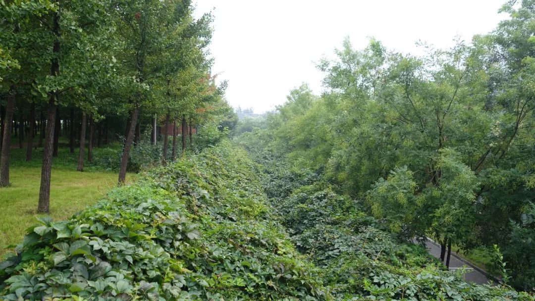 石家庄附近的度假酒店推荐,石家庄附近度假酒店推荐