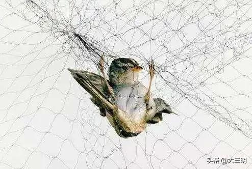 日入千元靠谱吗,日入千元可信吗