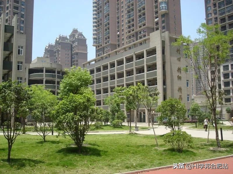 合肥市小升初考试科目及分数,合肥38中小升初如何报名