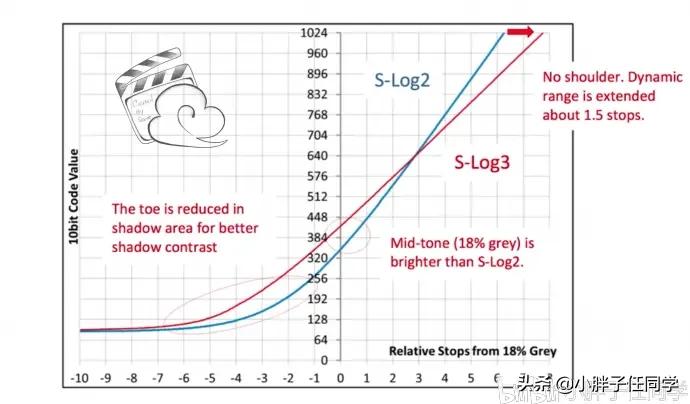 尼康d850拍摄视频用什么镜头,尼康d850配556镜头感受