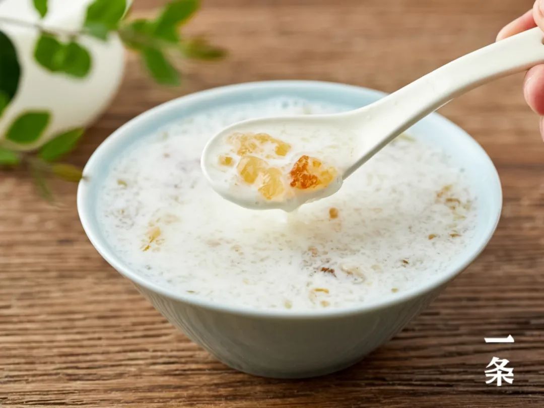 正宗植物燕窝,植物燕窝真正的燕窝是什么样的